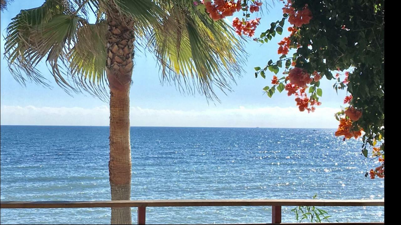 Mi Capricho C16 Beachfront Apartment Sitio de Calahonda Exteriör bild